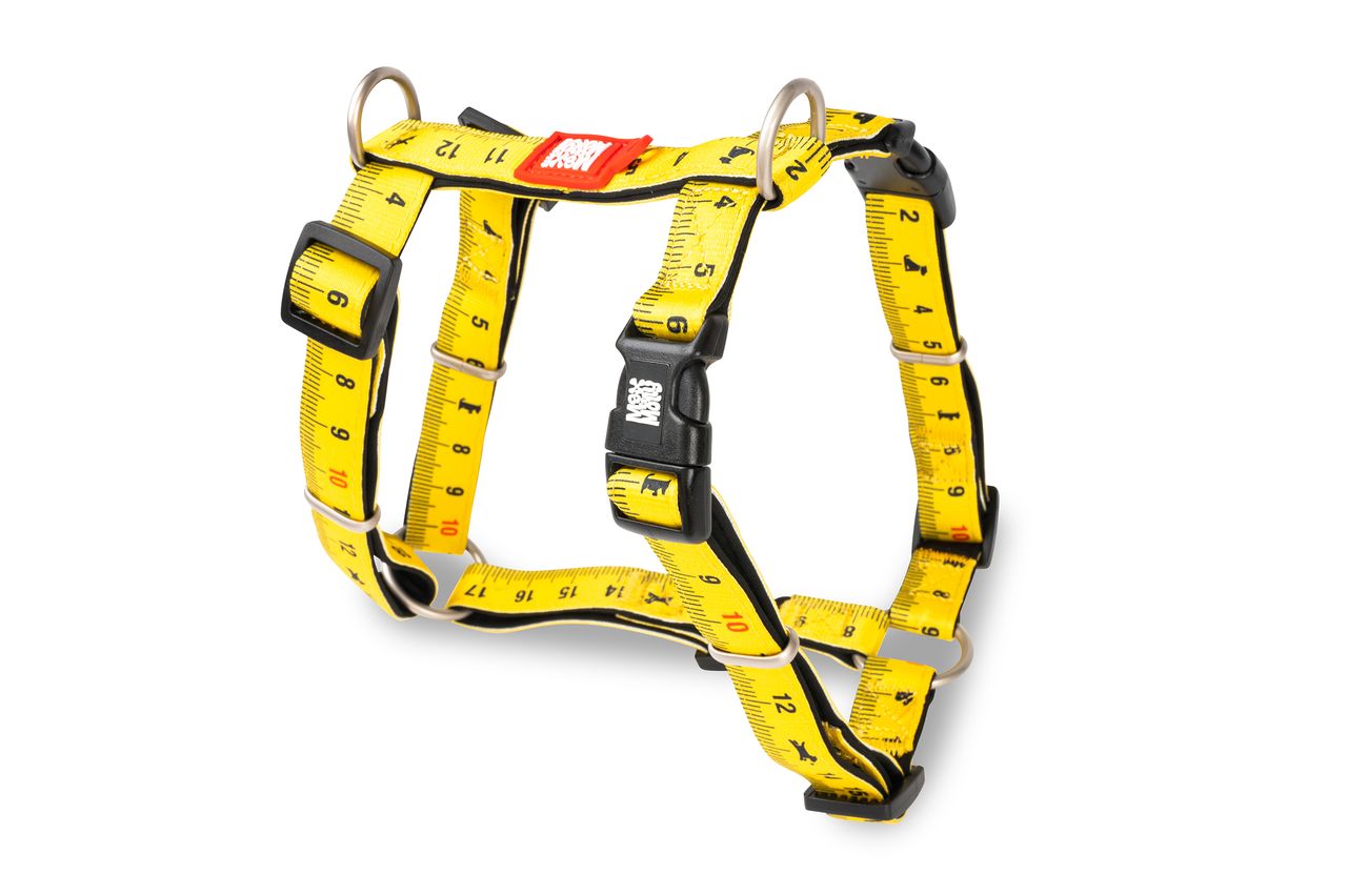 Max&Molly postroj Ruler S, M, L
