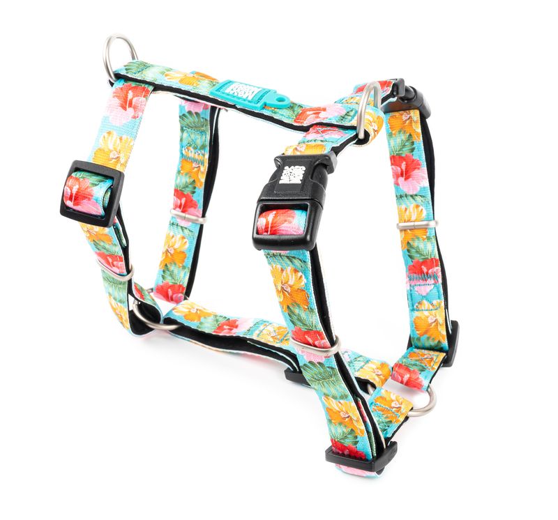 Max&Molly postroj Exotique XS, S, M