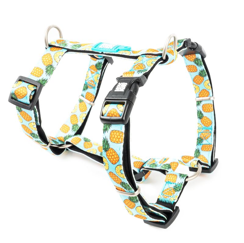 Max&Molly postroj Sweet Pinapple XS, S, M