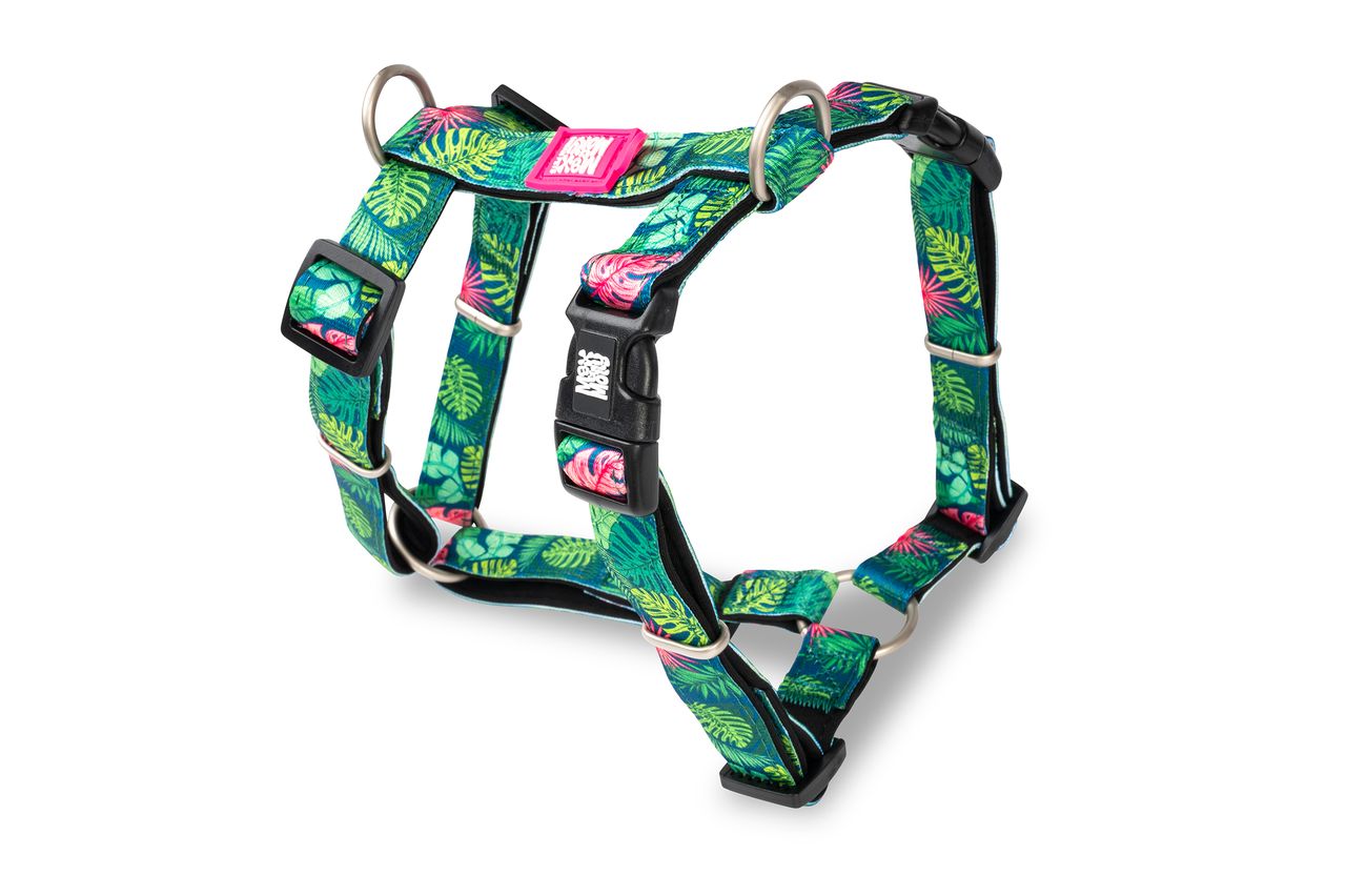 Max&Molly postroj Tropical M