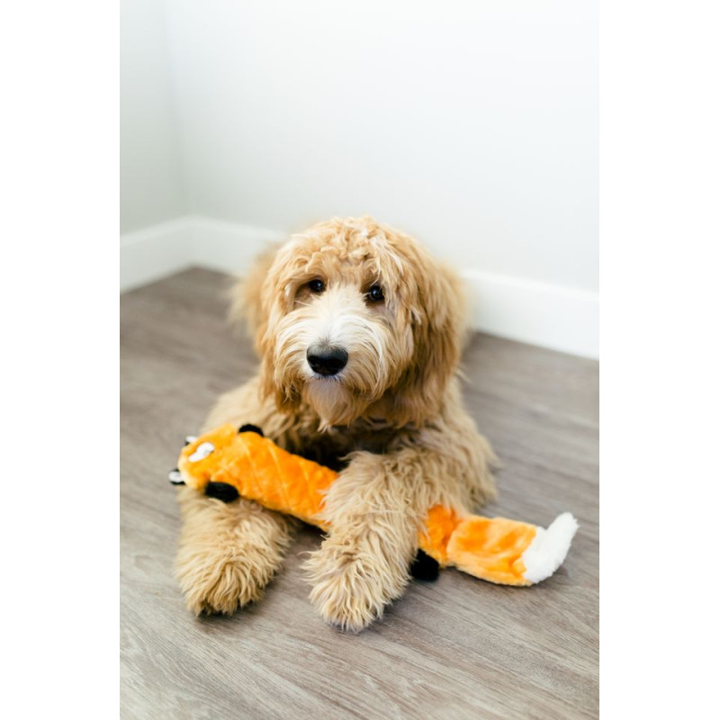 Zippy paws líška