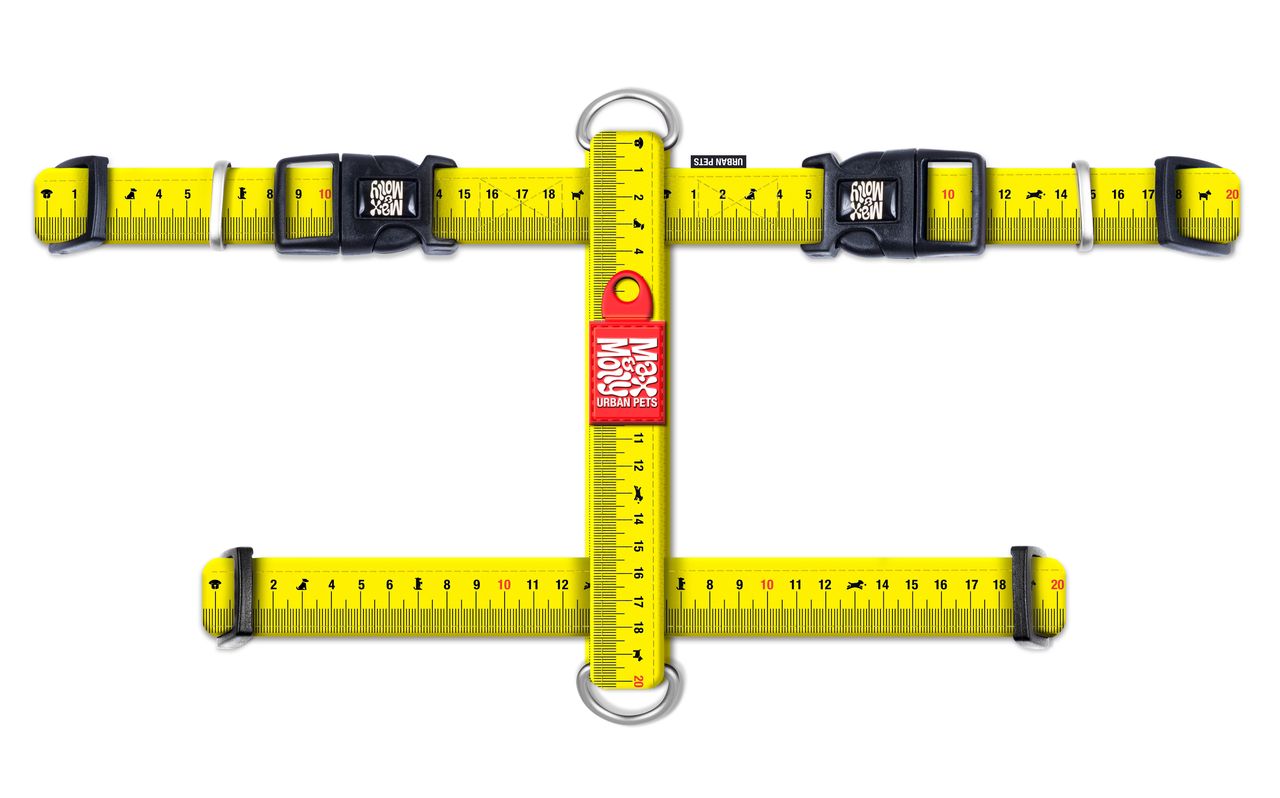 Max&Molly postroj Ruler S, M, L