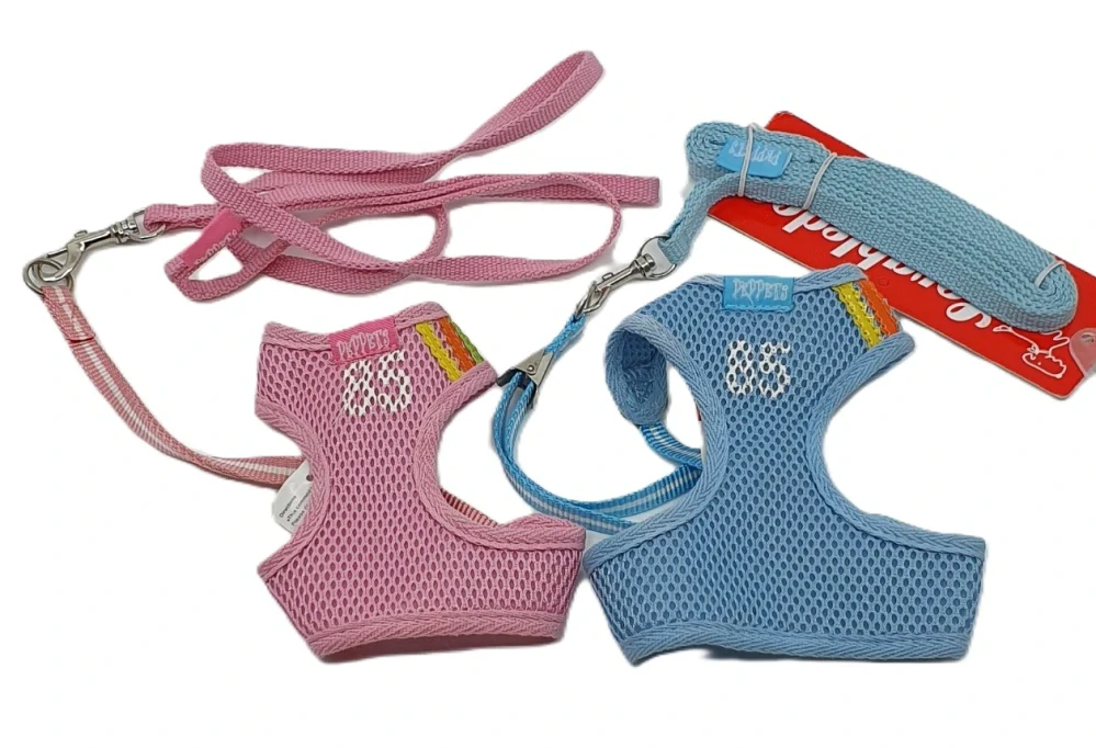 Puppy set XS/S
