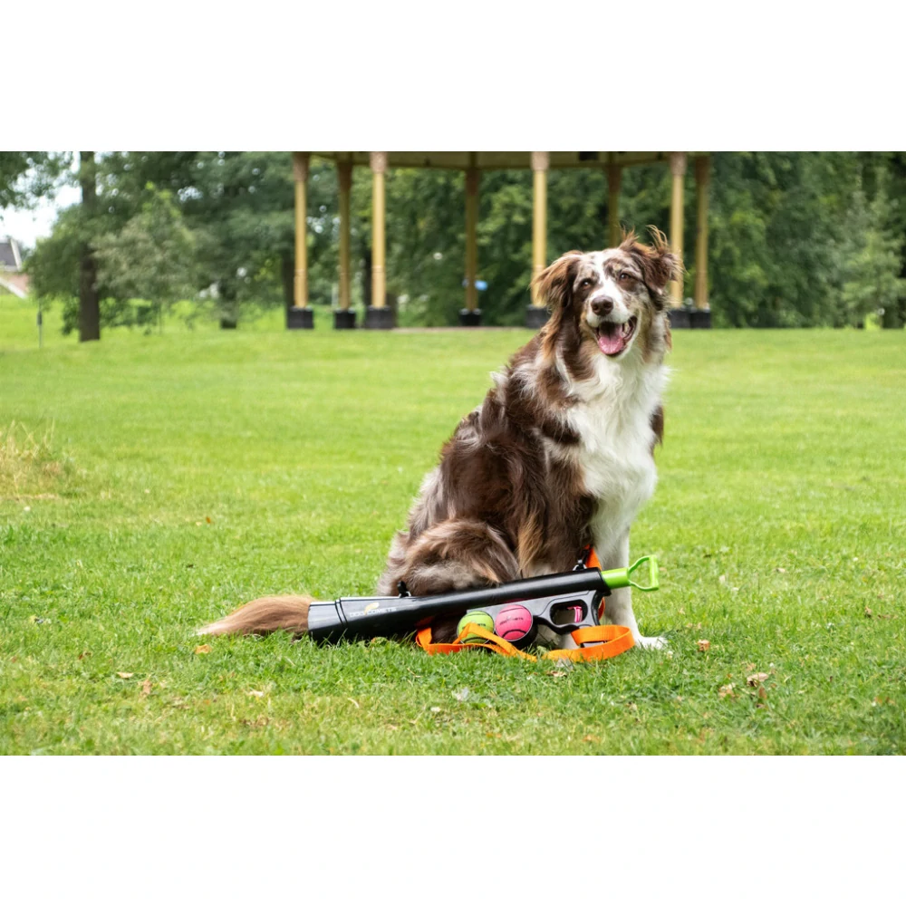 Dog comet bazooka
