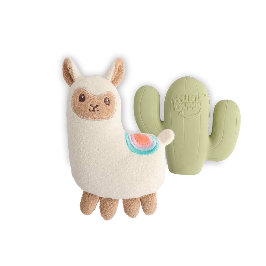APF little buddy 2 set