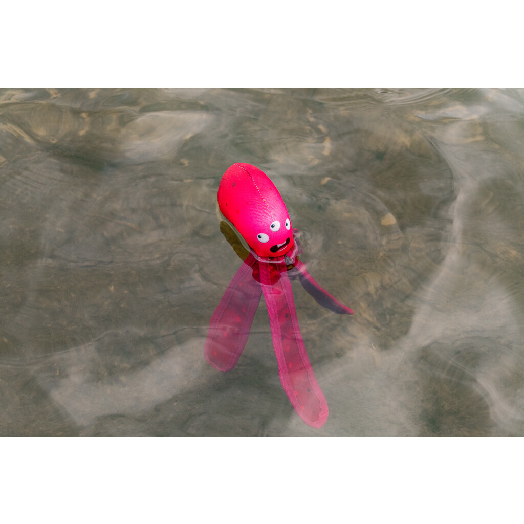 Alien octo M