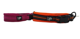 Obojok Scotchline XS, S
