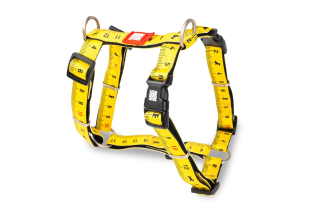 Max&Molly postroj Ruler S, M, L