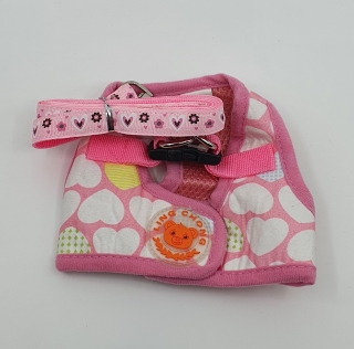 Set postroj + vôdzka  S