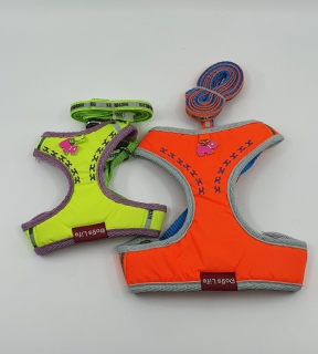 Set 1(S), 3(L) 4(XL)