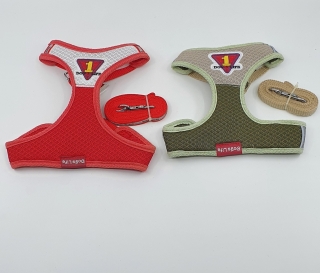 Set L, XL
