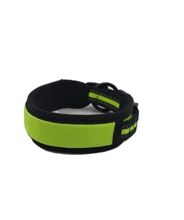 Obojok neon S, L