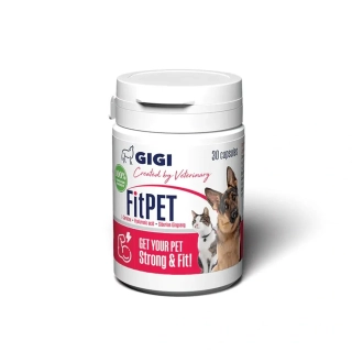 Fit pet
