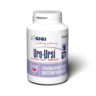 Uro ursi