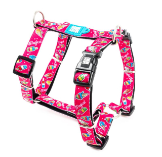 Max&Molly postroj Magical S, M