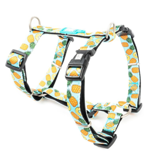 Max&Molly postroj Sweet Pinapple XS, S, M