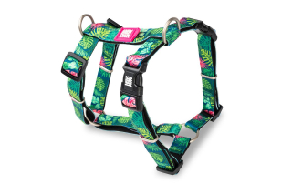 Max&Molly postroj Tropical M